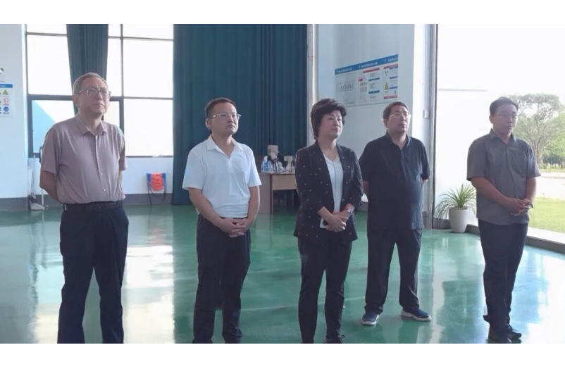 水利部水文化研究工作指导委员会来澧调研