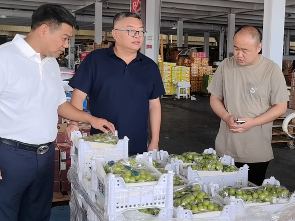 澧县第二十一届葡萄节 | 澧县主动拓市 护航葡萄产业增收