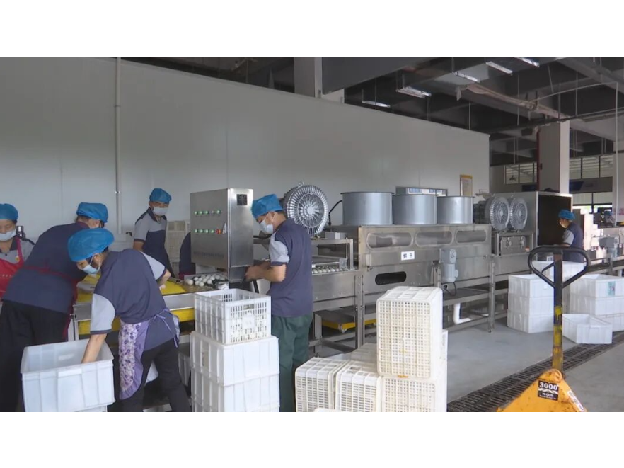 湖南双芃食品：开足马力抓生产  产销两旺订单足