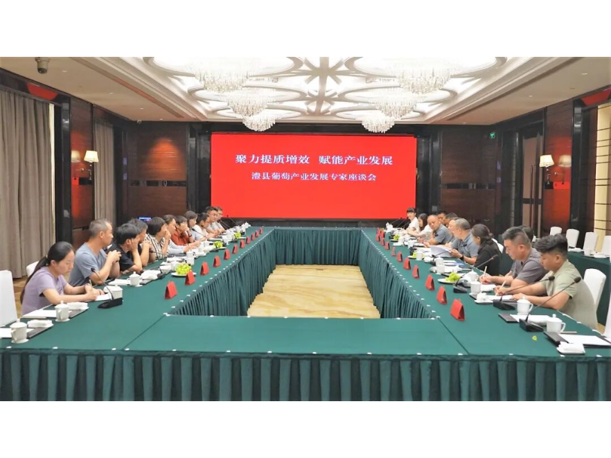 澧县第二十一届葡萄节 | “聚力提质增效 赋能产业发展” 葡萄产业发展专家座谈会召开