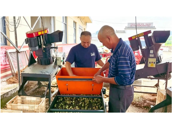 如东镇：小湘莲成为群众的“致富莲”