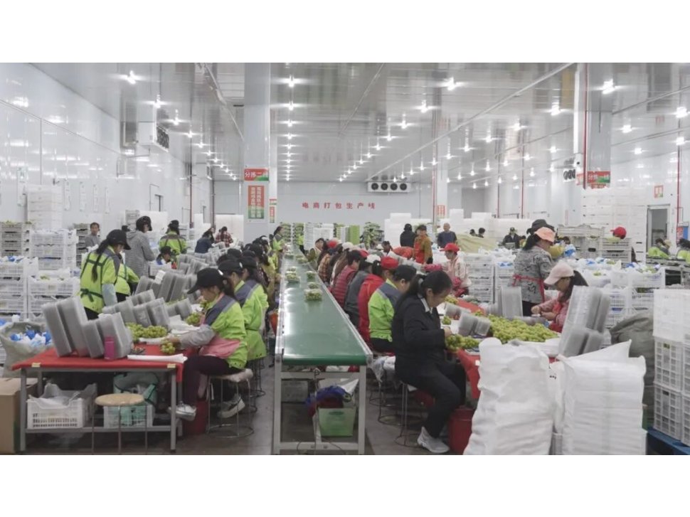 澧县：深耕产业体系化建设 上半年经济运行稳中有进