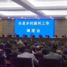 澧县召开乡村振兴工作调度会