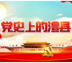 【党史上的澧县100讲】整训队伍开展游击战（99期）