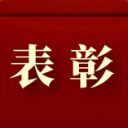 祝贺！澧县这些集体和个人获得表彰！