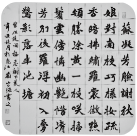 图片7.png