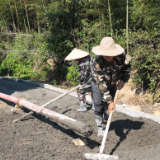 桃江:全链条发力 让“竹乡”焕发高质量发展新活力