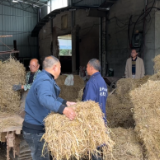 桃江:秸秆蹚出“双效双赢”新路径