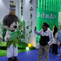 桃江：竹乡风情闪耀湖南旅博会