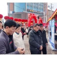 1600余个岗位“摆摊”纳贤 桃江“春风行动”首场乡镇招聘会圆满落幕