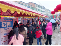 春风送岗再出发 桃江县“春风行动”招聘会走进马迹塘镇