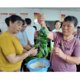 桃江:粽香暖残友 温情过端午