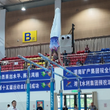 湖南省第十五届运动会青少年组体操比赛在桃江开赛