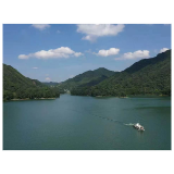 省运盛会即将启幕 桃江以“湘林碳票”擦亮绿色办赛底色