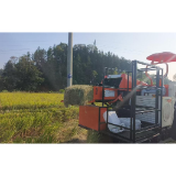 秸秆变饲草 桃江县鲊埠回族乡 “以用促禁” 盘活秋收田间废弃物
