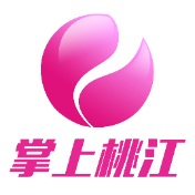 桃江县人民政府网站改版升级项目初验会召开