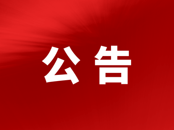 桃江县城市建设投资运营集团有限公司工程监理服务单位采购公告