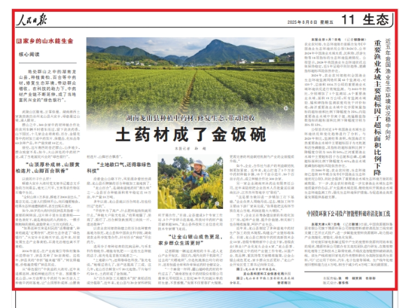 人民日报看湖南丨土药材成了金饭碗（家乡的山水能生金）