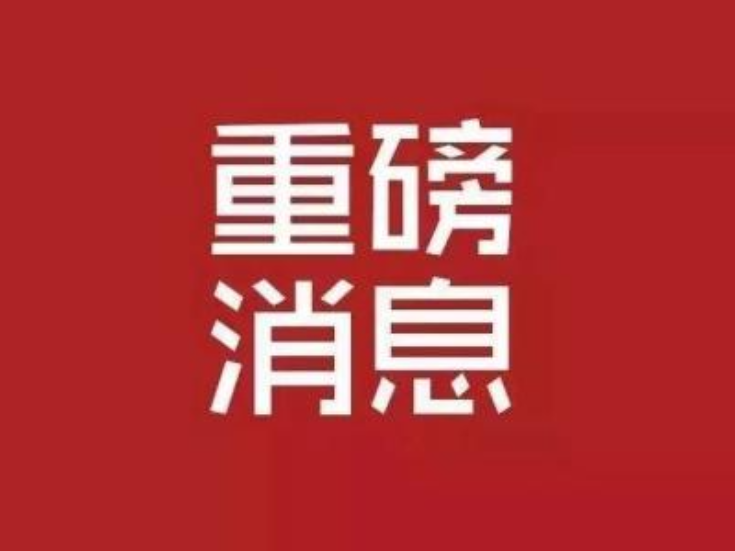 桃江县人民代表大会常务委员会任免名单        