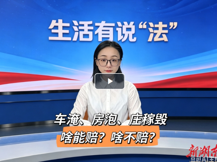 车淹、房泡、庄稼毁……啥能赔？啥不赔？一期视频讲透！︱生活有说“法”·金燕之谈