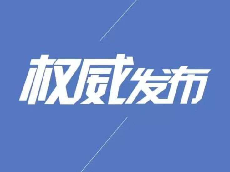 桃江县人民代表大会常务委员会任命名单                           