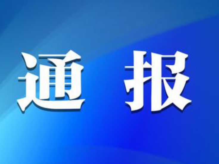 中共桃江县人民医院委员会关于巡察整改进展情况的通报