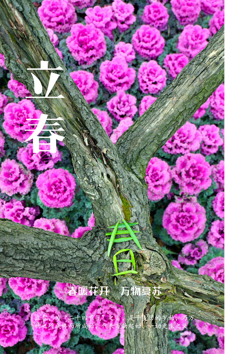 微信图片_20210204094342副本副本.png
