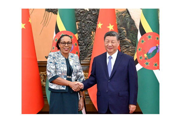 习近平会见多米尼克总统伯顿