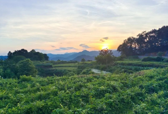 好评中国｜主流声量启新程，智媒赋能向未来