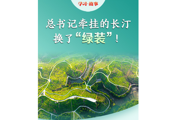 学习·故事丨总书记牵挂的长汀，换了“绿装”！