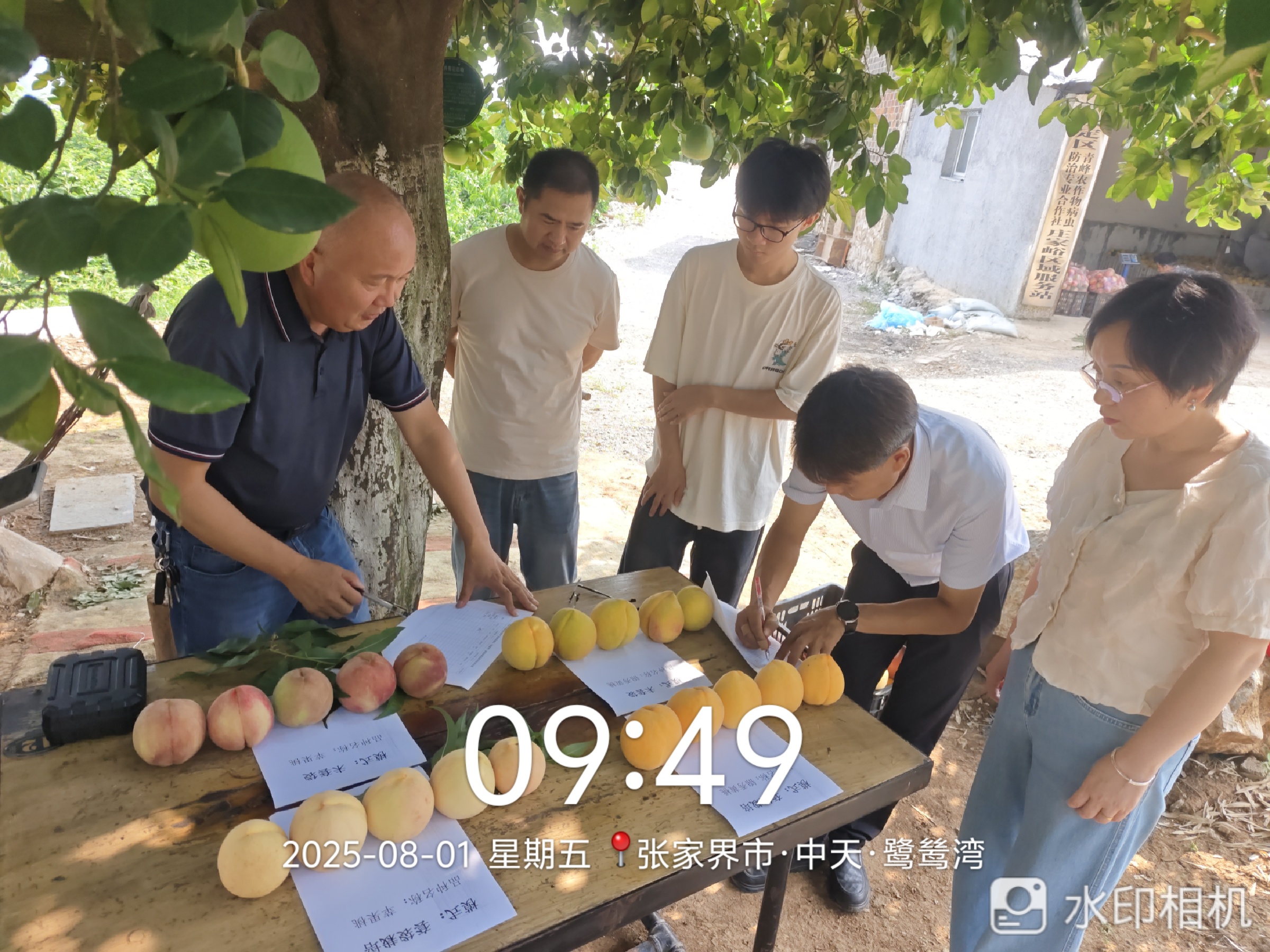 微信图片_20250801175030.jpg