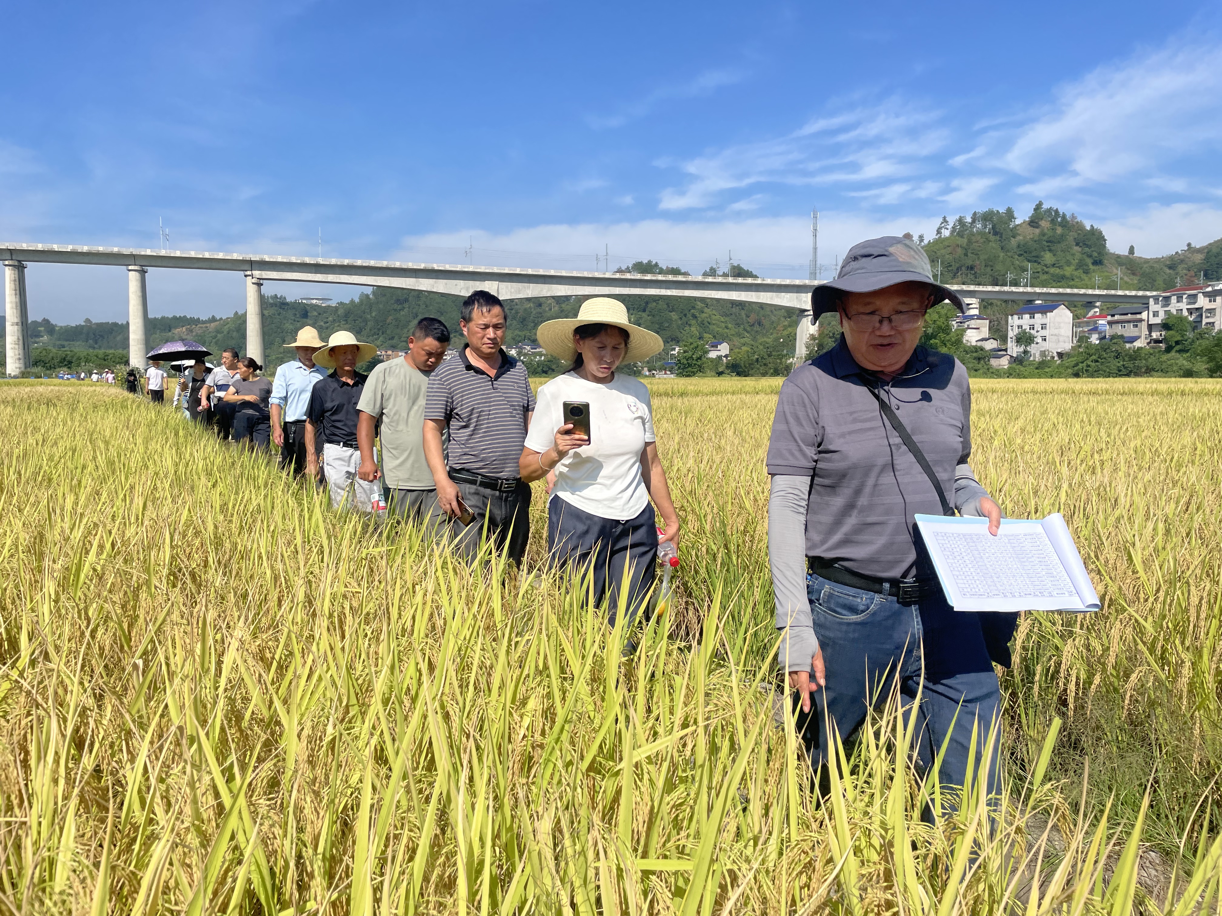 微信图片_20250919123008_50_2.jpg 微信图片_20250919123008_50_2.jpg