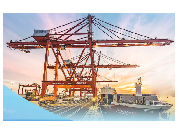 一见·海南自贸港建设，总书记为何如此关切？