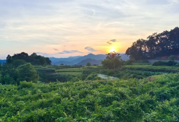 好评中国｜让阅读之光照亮全民成长之路