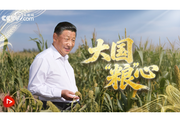 微视频丨大国“粮”心