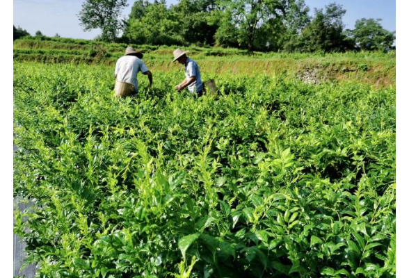 好评中国丨“一间房”温暖青年安居之路