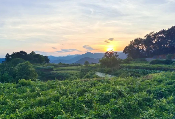 好评中国丨链动三湘，湖南文旅的“破圈”与“长红”之路