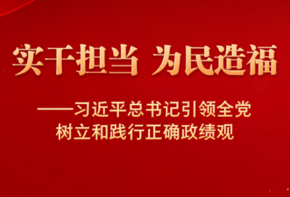 习近平总书记引领全党树立和践行正确政绩观