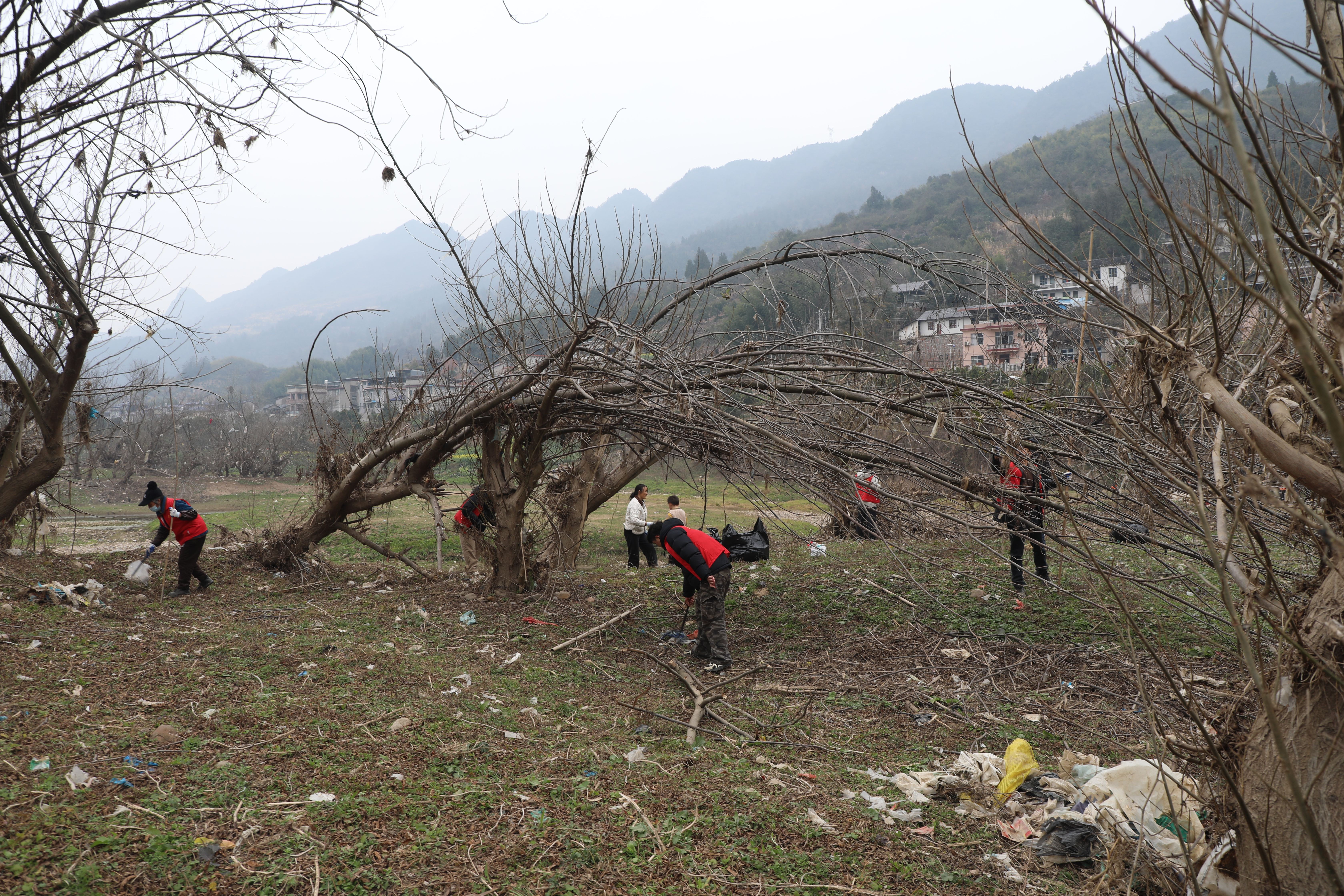 IMG_6203_毒霸看图.jpg IMG_6203_毒霸看图.jpg