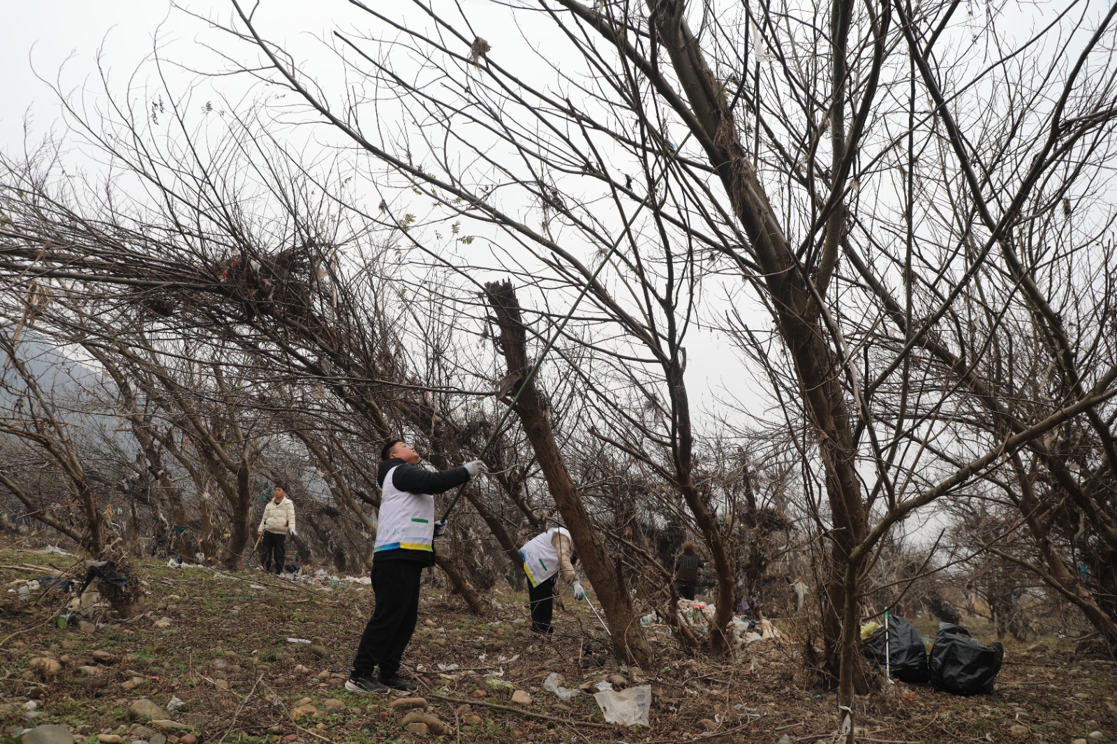 IMG_6168_毒霸看图.jpg IMG_6168_毒霸看图.jpg