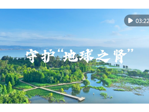 微视频｜守护“地球之肾”