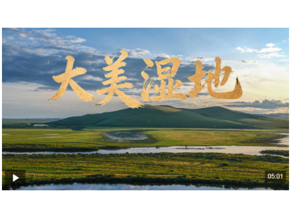 时政微视频丨大美湿地