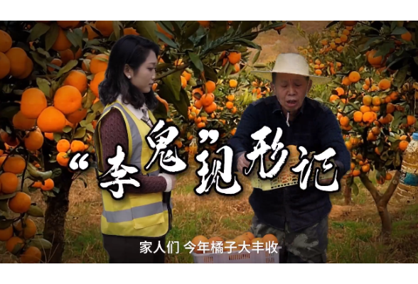 网络普法情景剧 | “李鬼”现形记