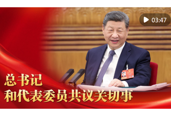 微视频｜总书记和代表委员共议关切事