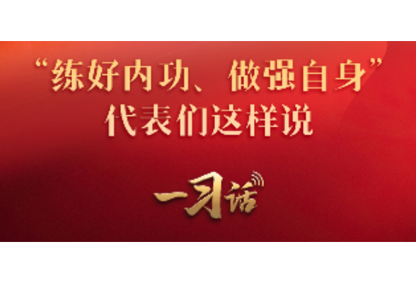 一习话·习近平的两会时间丨“练好内功、做强自身” 代表们这样说 