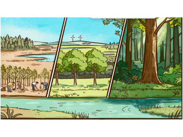 天天学习｜不断增厚我们的“绿色家底”