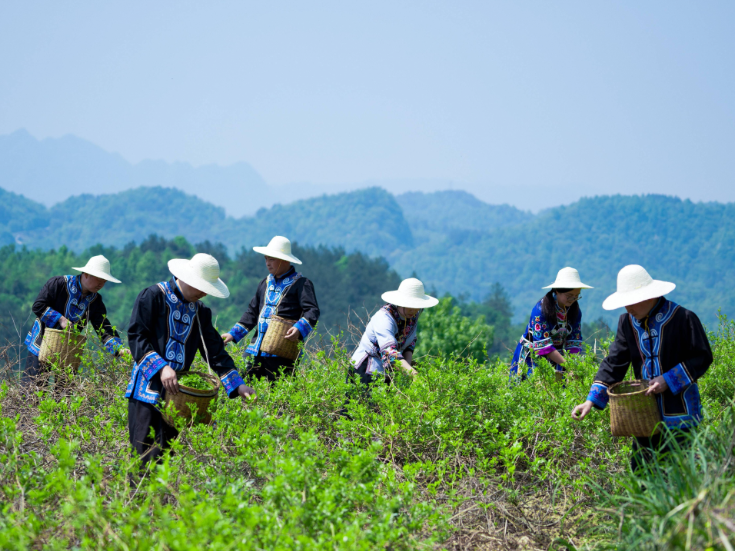 好评中国丨以19条“真招”赋能，激活高质量发展新动能