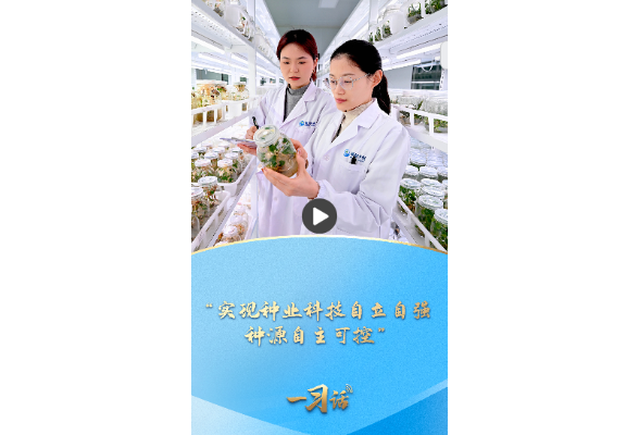 一习话丨“实现种业科技自立自强、种源自主可控”