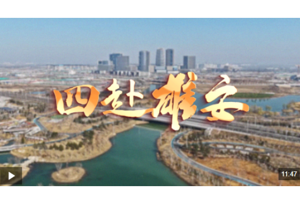 时政专题片丨四赴雄安