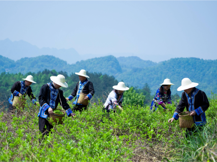 好评中国丨守护指尖上的童年，从“醒目位置”的清朗开始